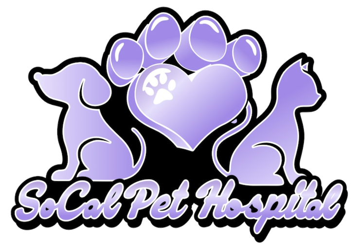 SoCal Pet Hospital Home