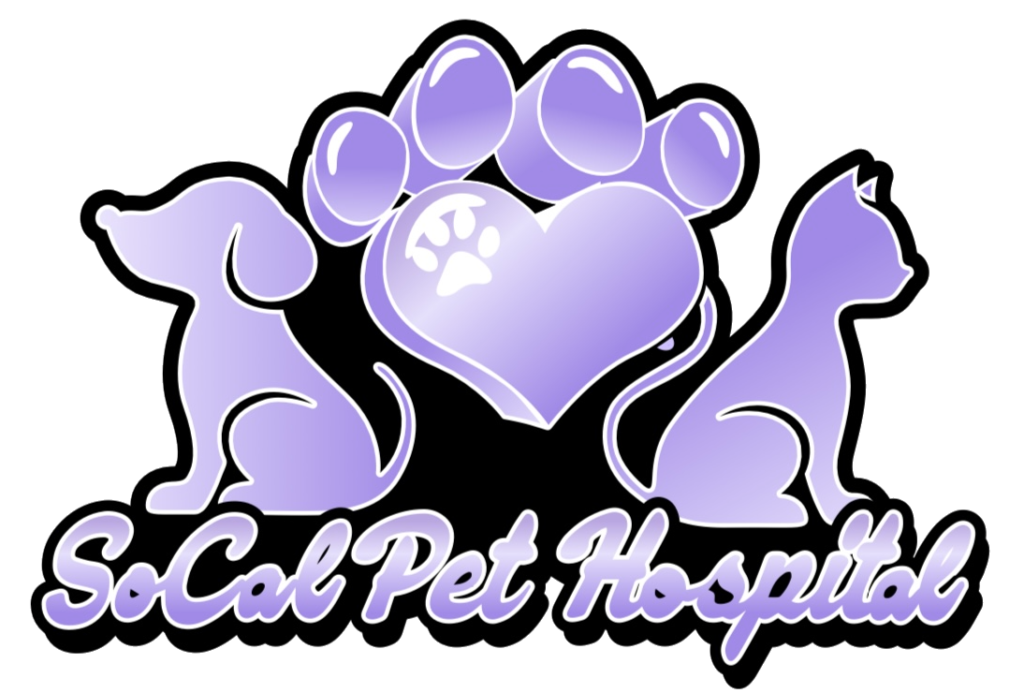 SoCal Pet Hospital - Veterinarian Murrieta CA