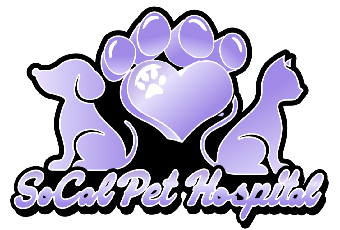 SoCal Pet Hospital - Animal Care Clinic Murrieta CA